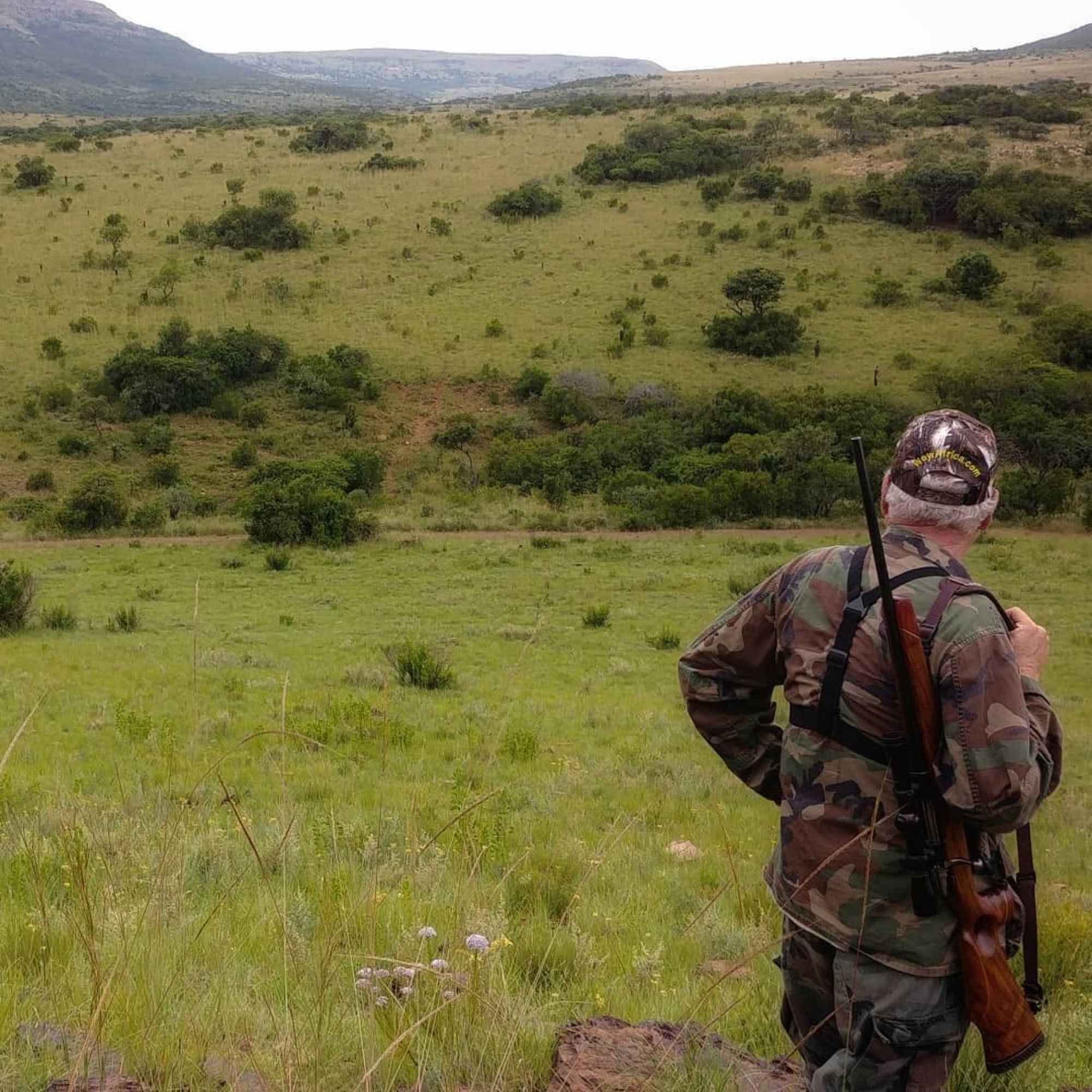 A hunter looking over green Karoo hills with a rifle on his shoulder