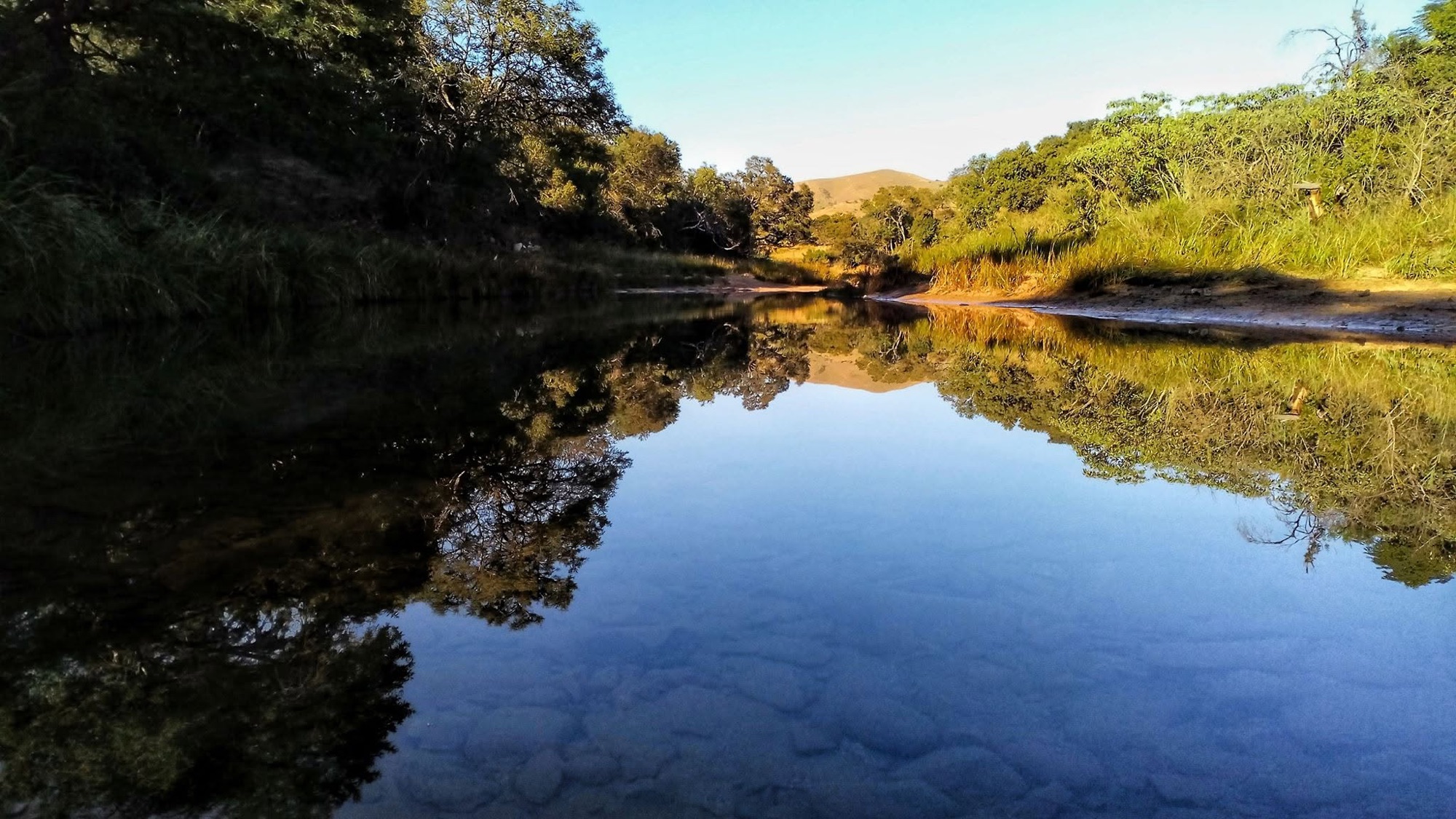 Quiet river with tree reflections, hills beyond